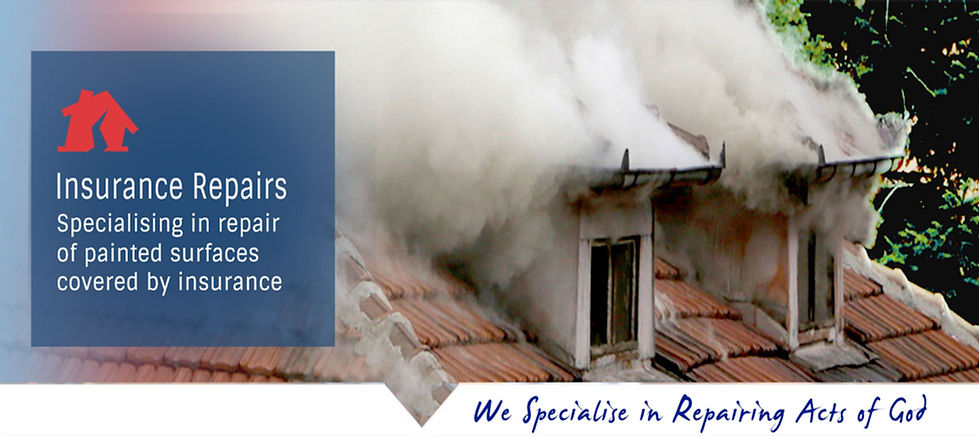 Insurance repairs painting service