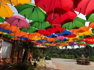 Tour gastronômico: 5 restaurantes próximos a Campinas que valem a viagem