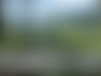 O que fazer em Serra Negra? Conheça os melhores locais!