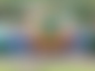 Excursões Mês de Outubro de 2020