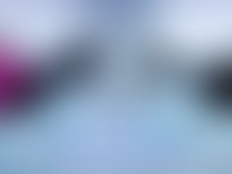 Excursão de Campinas para o Ártico: Uma aventura de neve e esculturas em Gelo