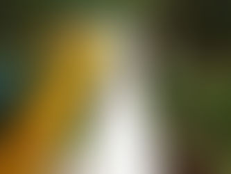 Thermas Water Park: um parque aquático para chamar de seu e que garante diversão para toda família