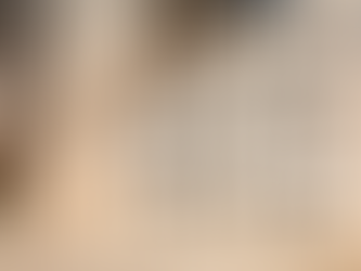 IRS Shuts Down Direct File Program: What Small Business Owners Need to Know