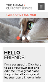 Trouvez votre modèle website templates – Clinique vétérinaire