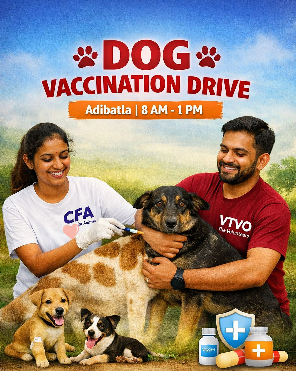 Hyderabad : VPaws @ Community Dog Vaccination Drive , Adibatla