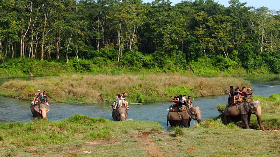 Jungle Safari in Nepal 