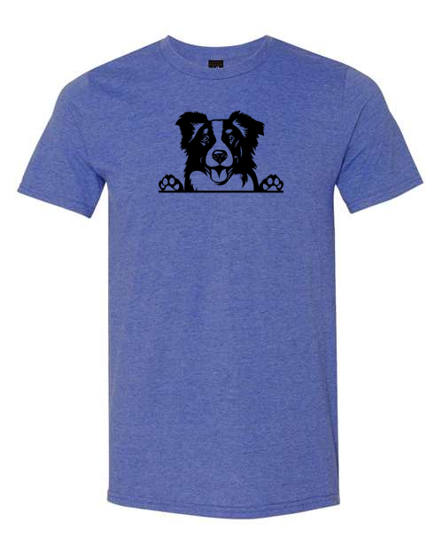 Thumbnail: Border Collie