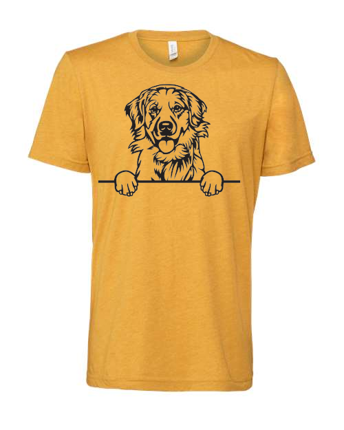 Thumbnail: Golden retriever