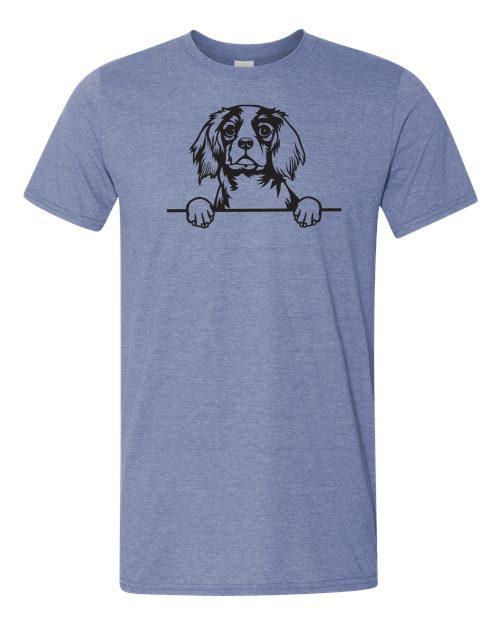 King Charles Cavalier