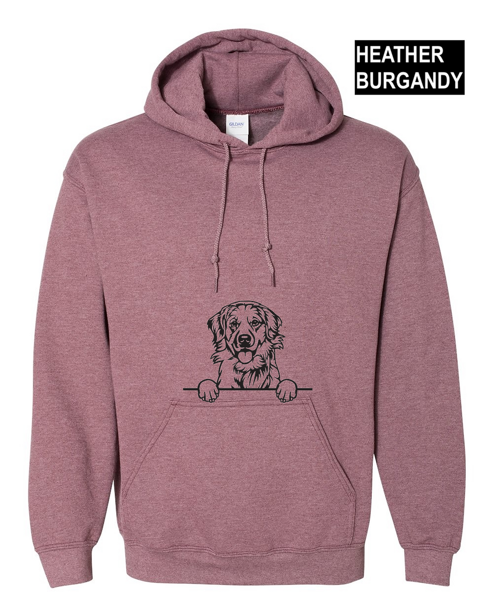 Thumbnail: Golden Retriever
