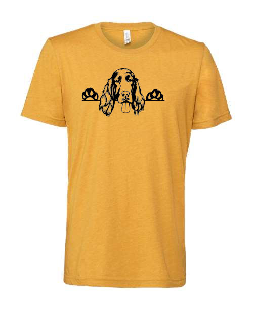 Thumbnail: Irish Setter