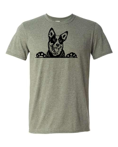 Cattle dog