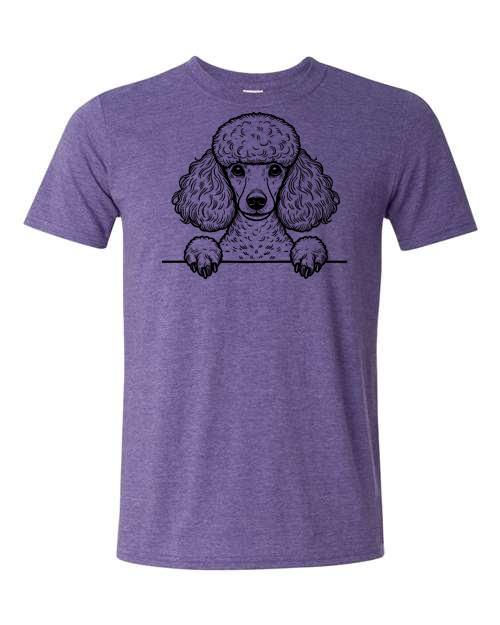 Poodle