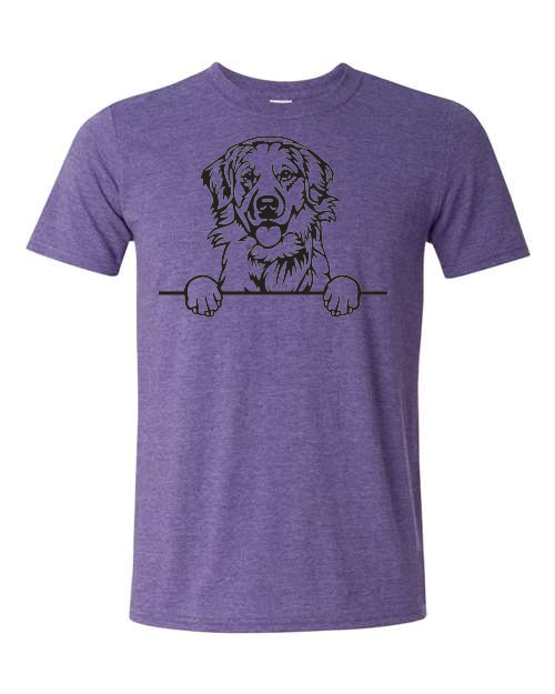 Thumbnail: Golden retriever