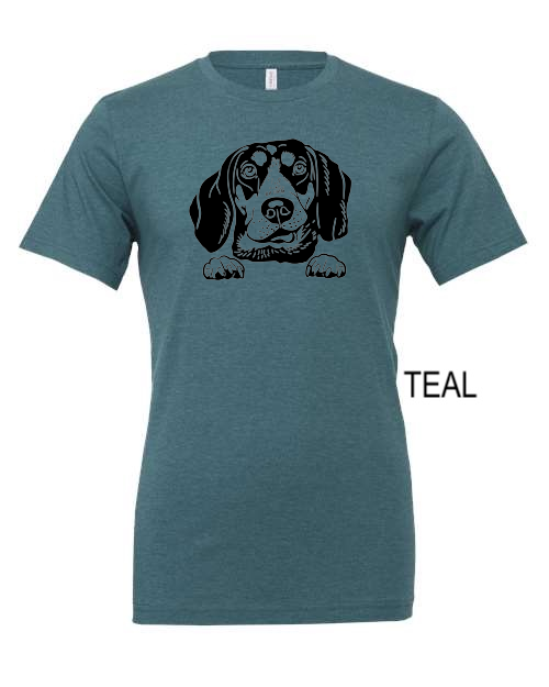 Thumbnail: Bluetick