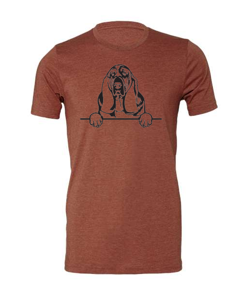 Thumbnail: Basset Hound