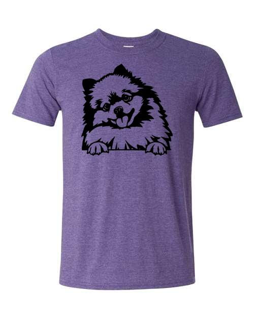 Thumbnail: Pomeranian