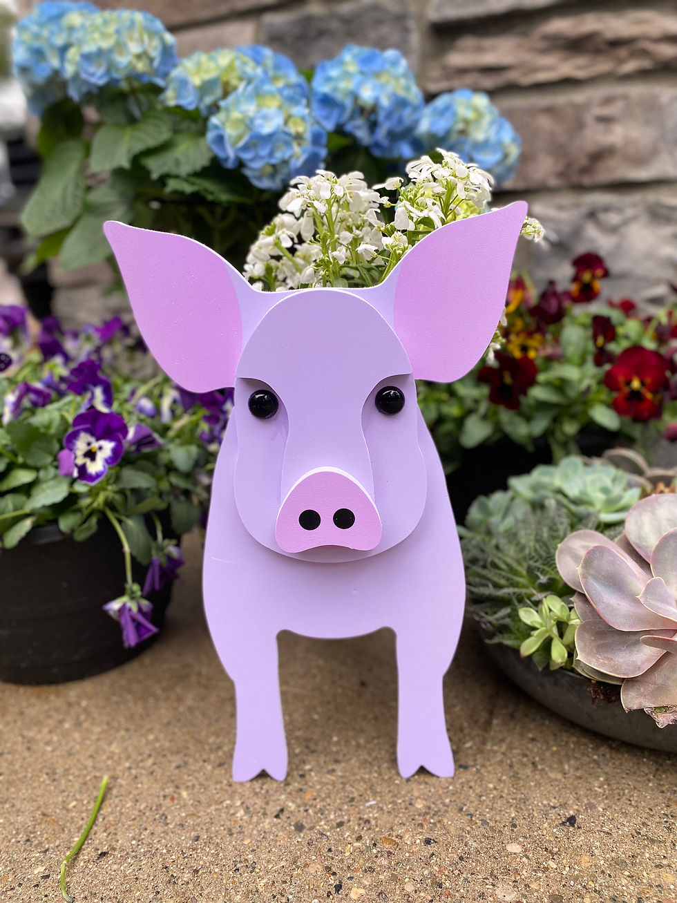 Pig