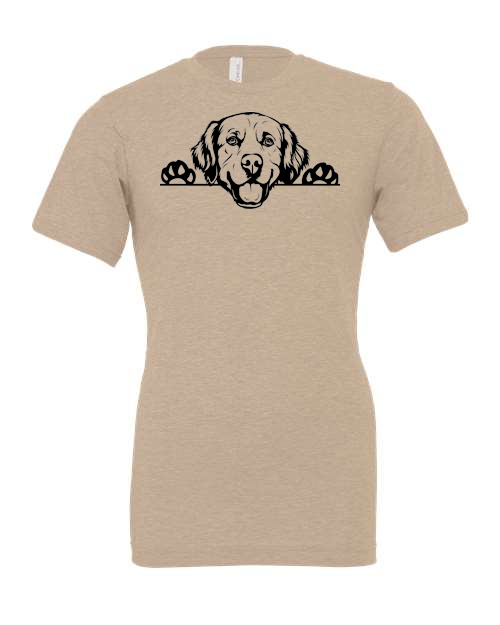 Thumbnail: Golden Retriever