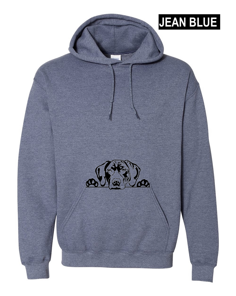 Thumbnail: German Shorthair Pointer