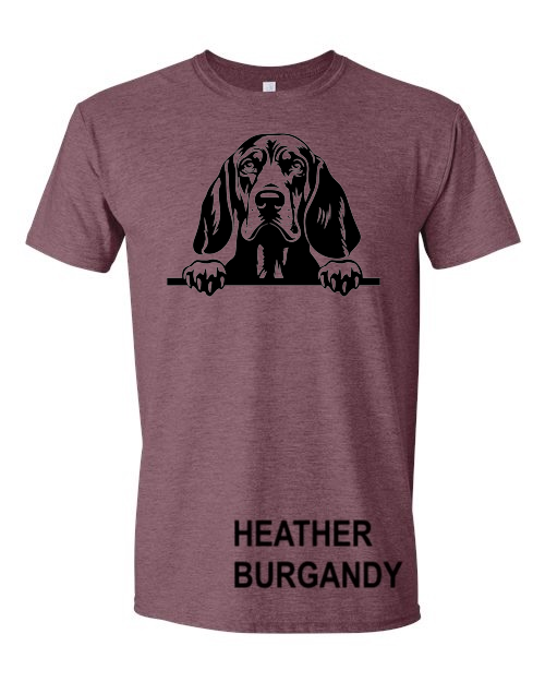 Thumbnail: Coonhound