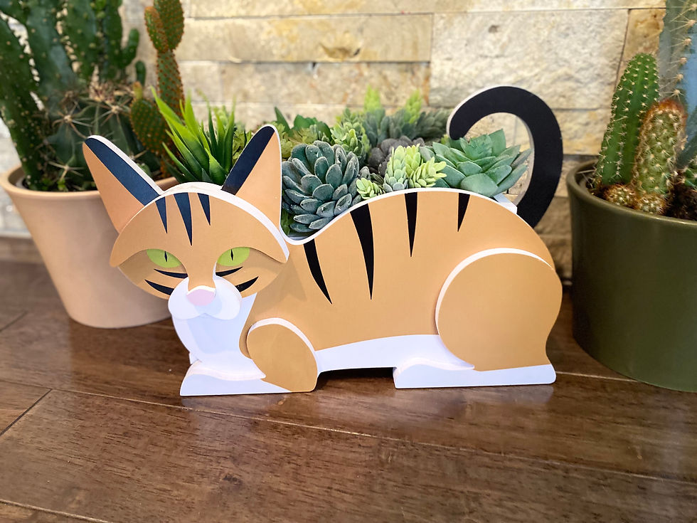 Cat (Tiger)