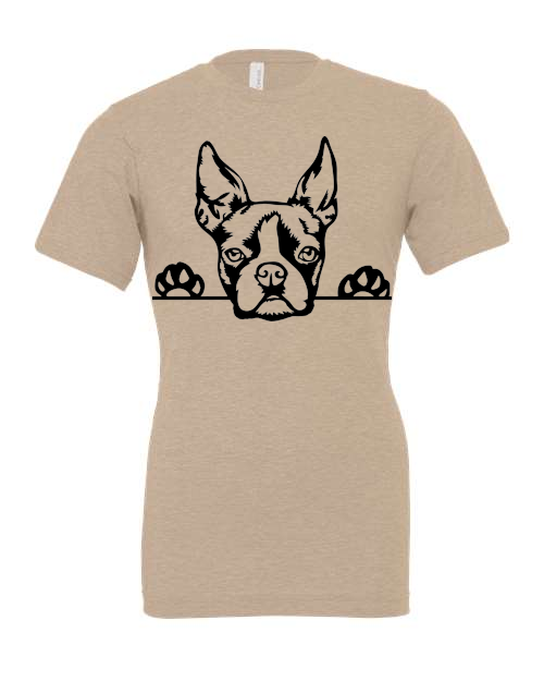 Thumbnail: Boston Terrier