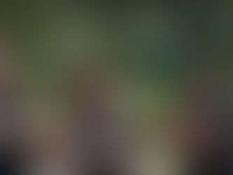 Should I trade in Exness ? Is Exness Good?