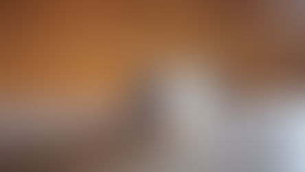 シャコタンマグ