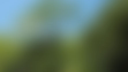 遠近からのお願い