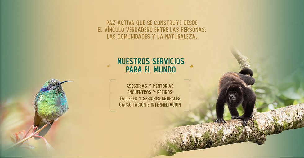 3-Servicios.png