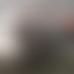 Toyota Rav 4. Tacoma Foss Car Audio and Tint. C.P.