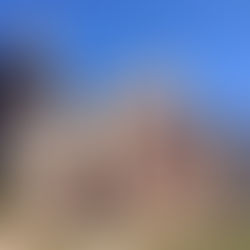 Covid-19을 전후한 미 대학 입시