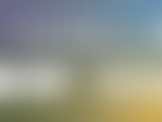 The Culture House - Feel Good Friday and Take Part Tuesday