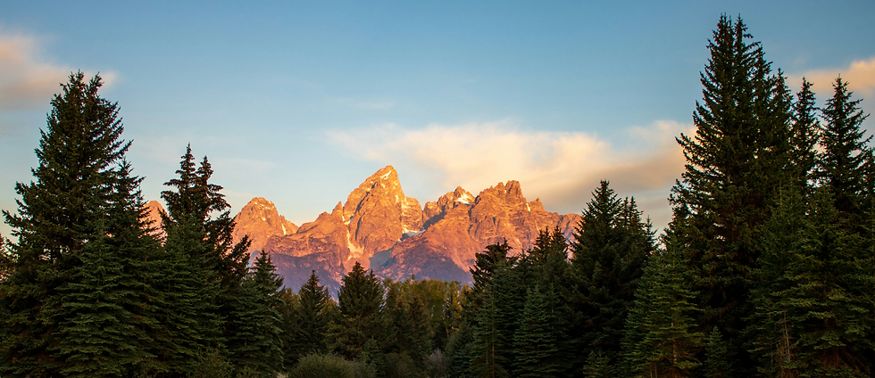 STEP WY - Planning for Fund Principals