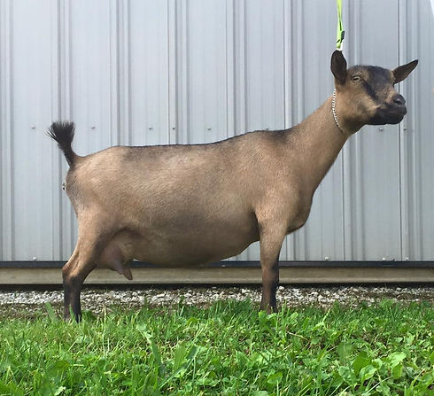 11889555_10153552495345902_4689728741516