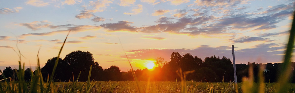 Nikke Friis Coaching - sunrise - photographer: 
