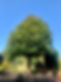 IMG_1584.JPEG