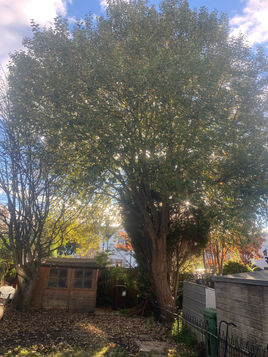 IMG_4042.JPEG