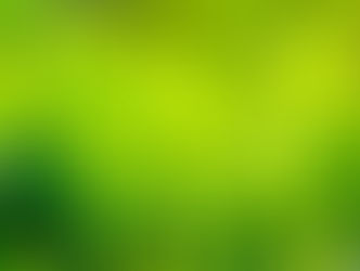 Té verde para ti