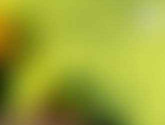 ¿El té verde ayuda a la memoria?