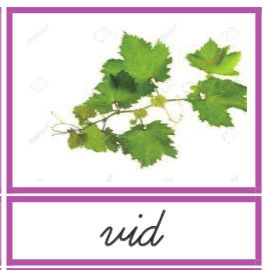 Tarjetas chicas en 3 Partes de la Serie Rosa CURSIVA Negras