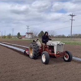 Tieg Farm 05-09-2020