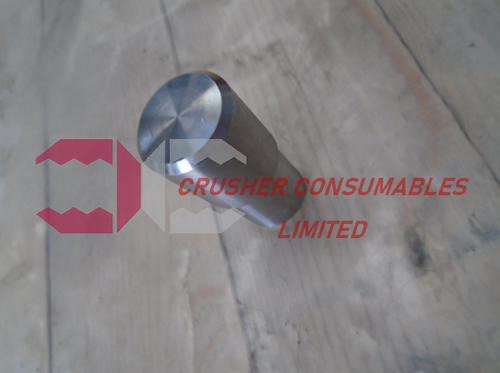 マロンです。 セール価格]Zoff meets LISA LARSON MADE IN JAPAN series