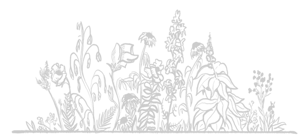 BAB8D0F2-84BF-4795-8733-7551E0828F83_edi