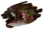 Дизайн без названия (6).png
