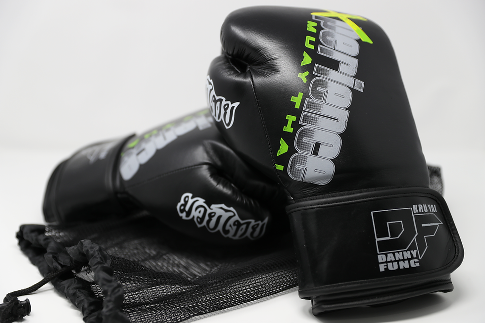 Thumbnail: Experience 16oz Sparring Gloves