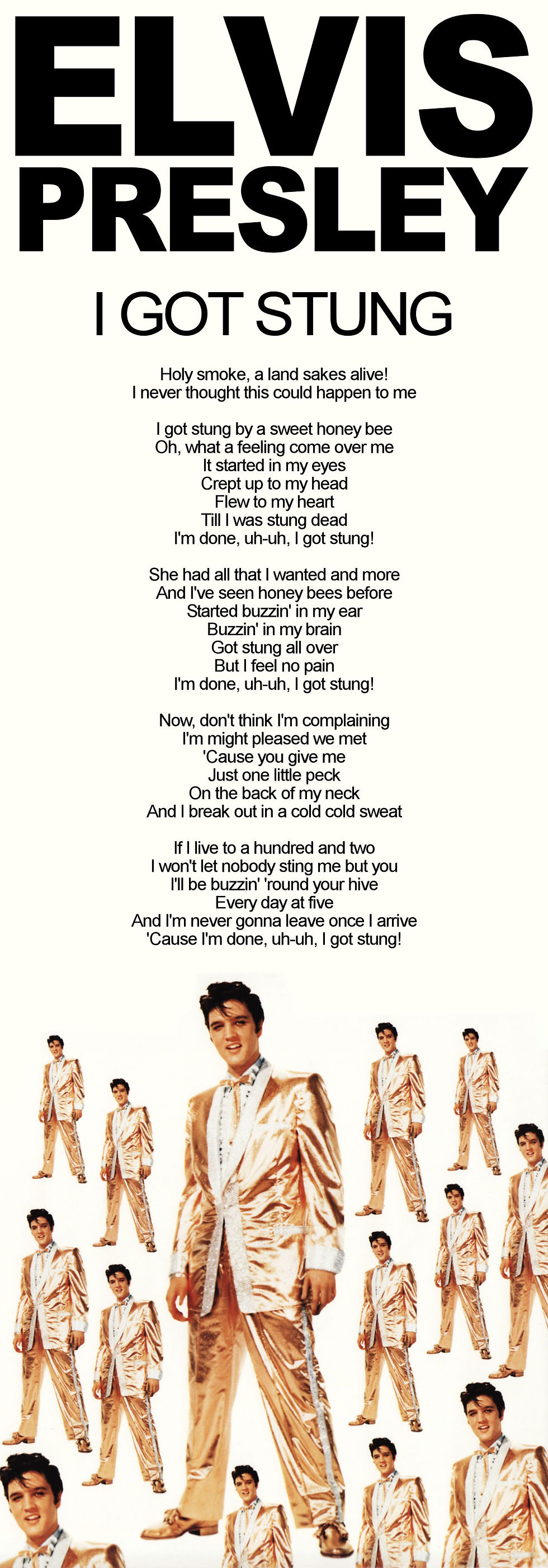ELVIS PRESLEY I GOT STUNG LYRIC
