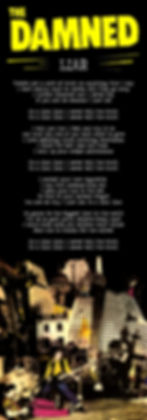 DAMNED LIAR LYRIC