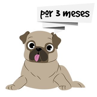 puggy_Mesa de trabajo 1 copia.png